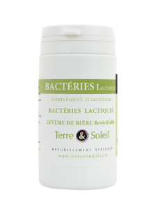 BACTÉRIES LACTIQUES (ferments lactiques)